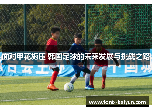 面对申花施压 韩国足球的未来发展与挑战之路